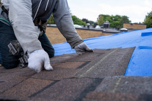 Quick and Trustworthy Emergency Roof Repair Services in Coker, AL