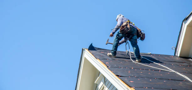 Best Roof Gutter Cleaning  in Coker, AL